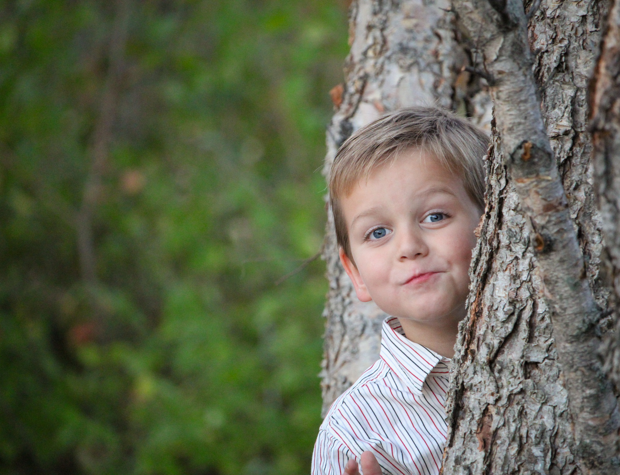 boy playing in the tree with playful grin