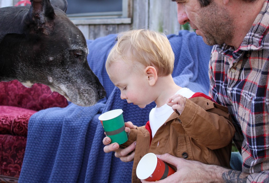 dog and child inspecting Christmas cup outdoor barn photo