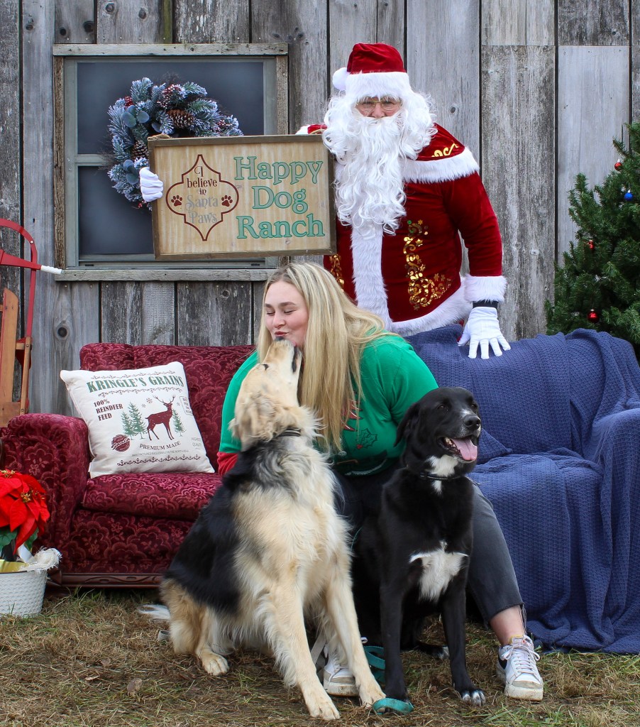 happy dog smiling kiss Santa Christmas outdoor barn photo